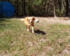 Molly