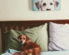 Molly