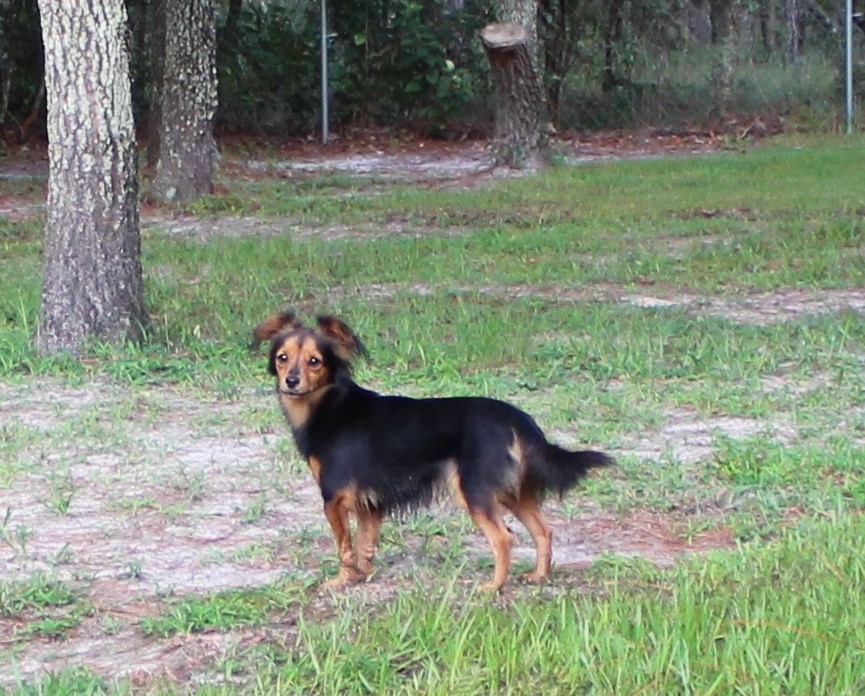 Sophie Sophie
