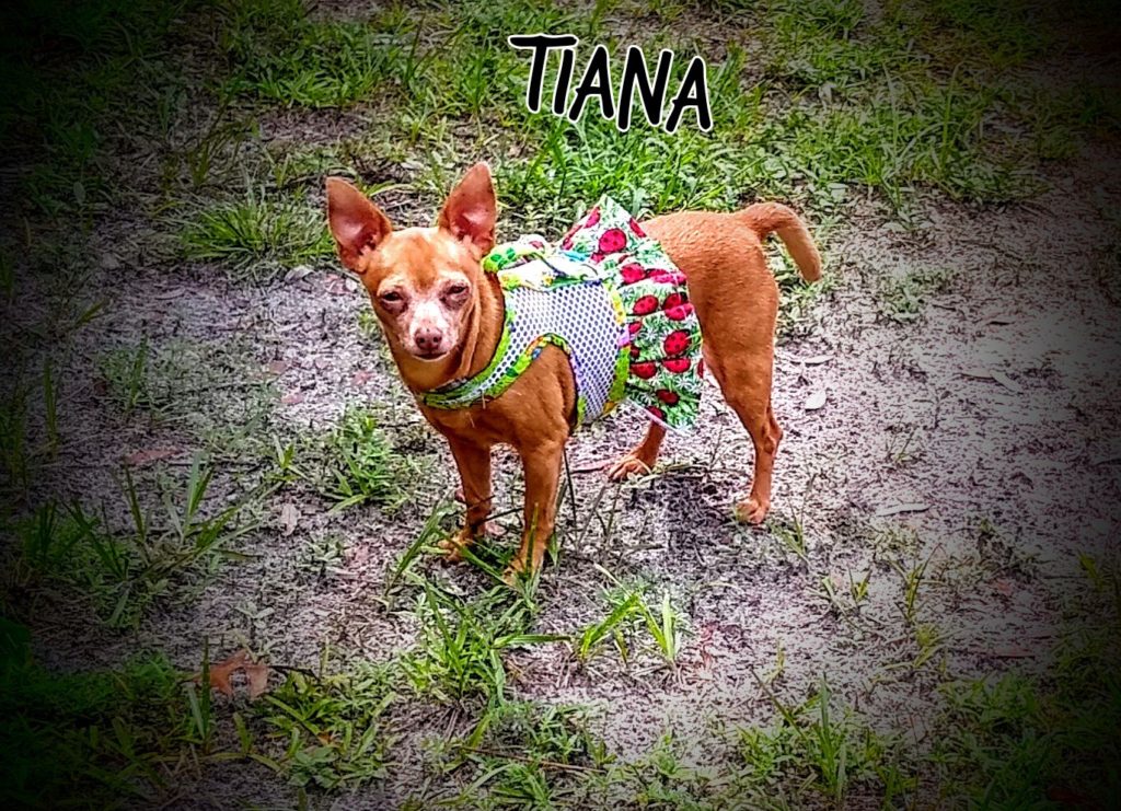 Tiana Tiana