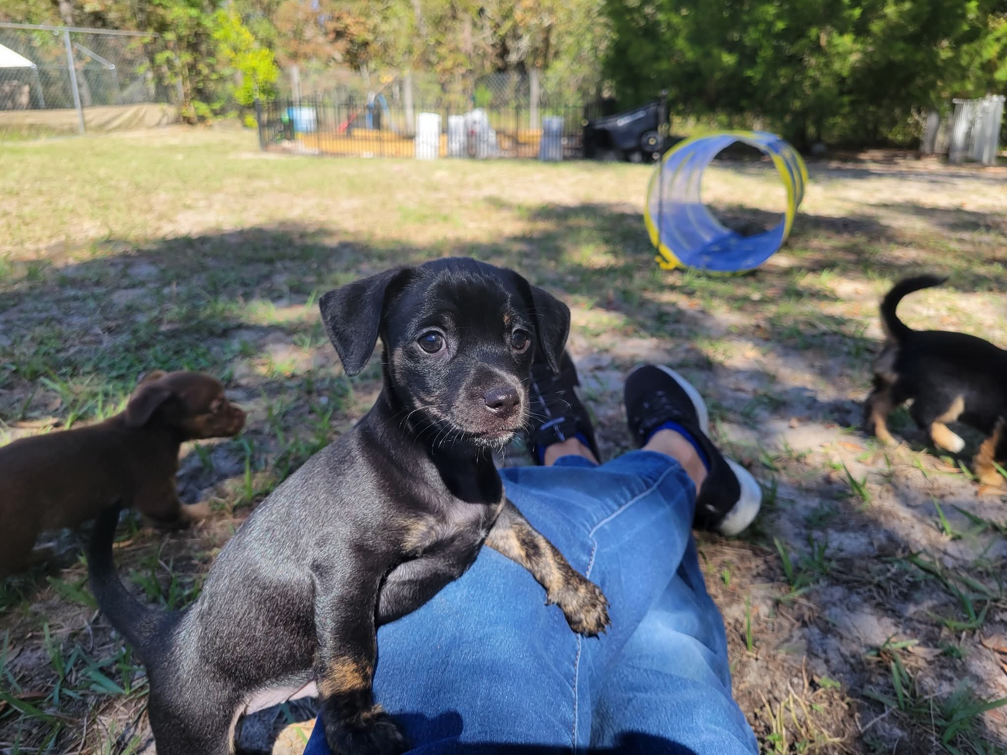 FB_IMG_1761424352015