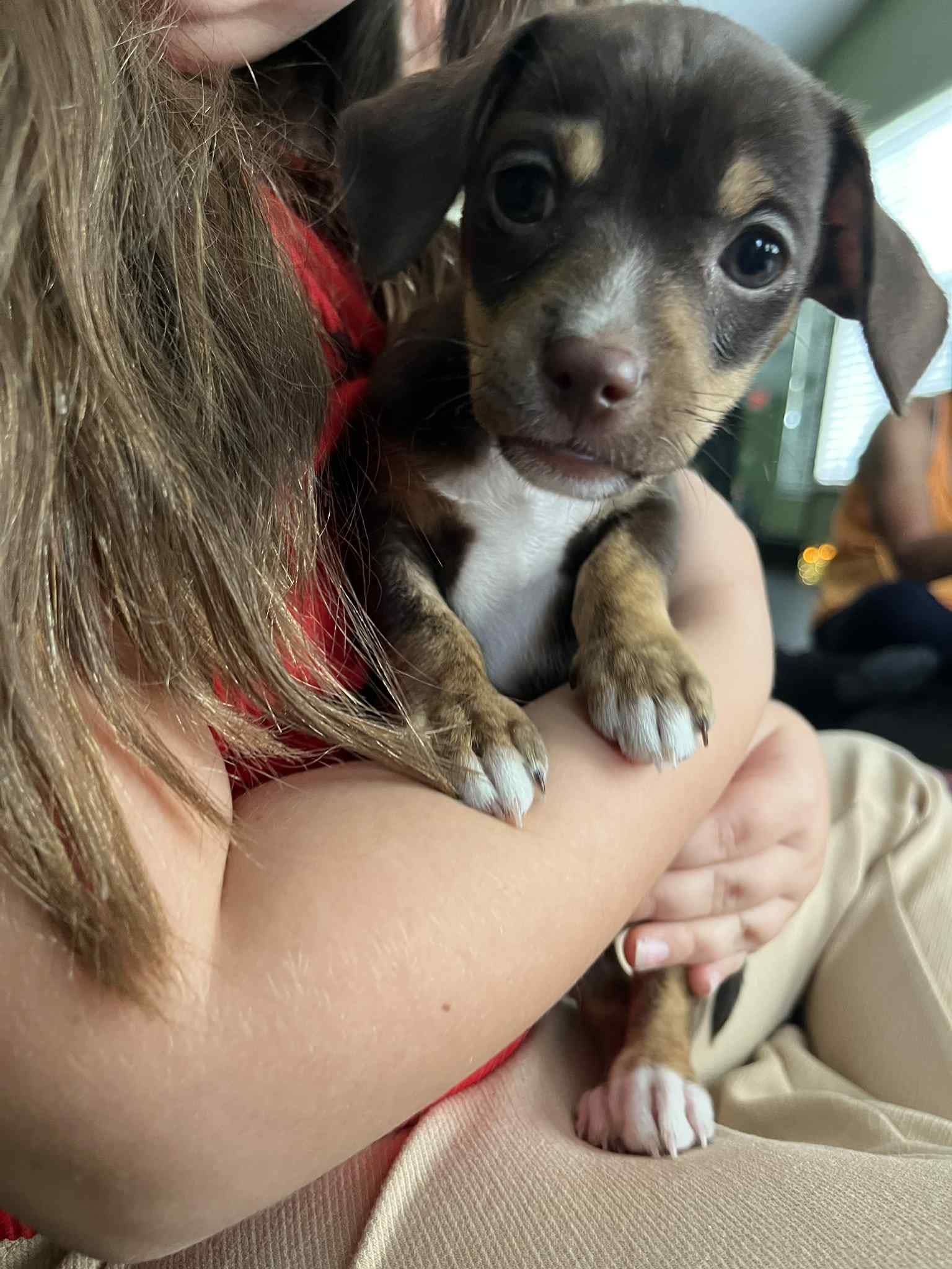 FB_IMG_1761670141003