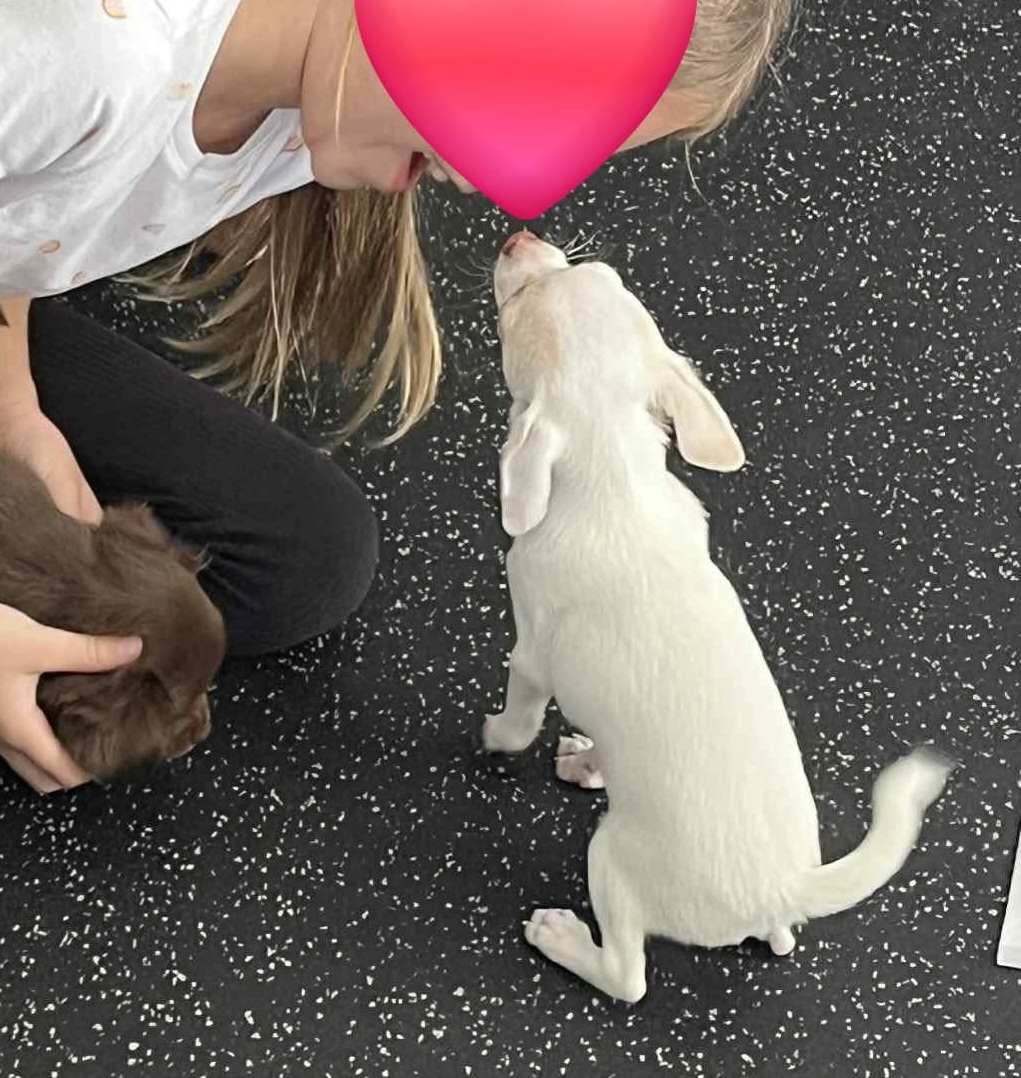 FB_IMG_1761670146228