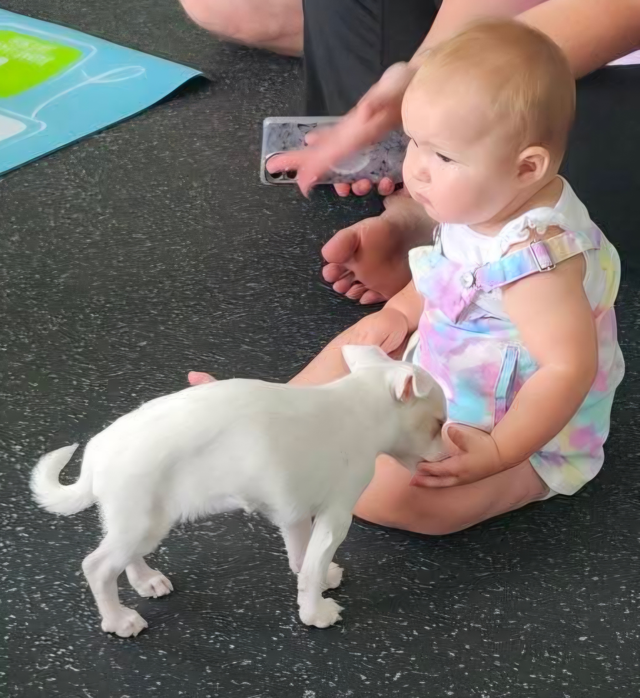 FB_IMG_1761670193712