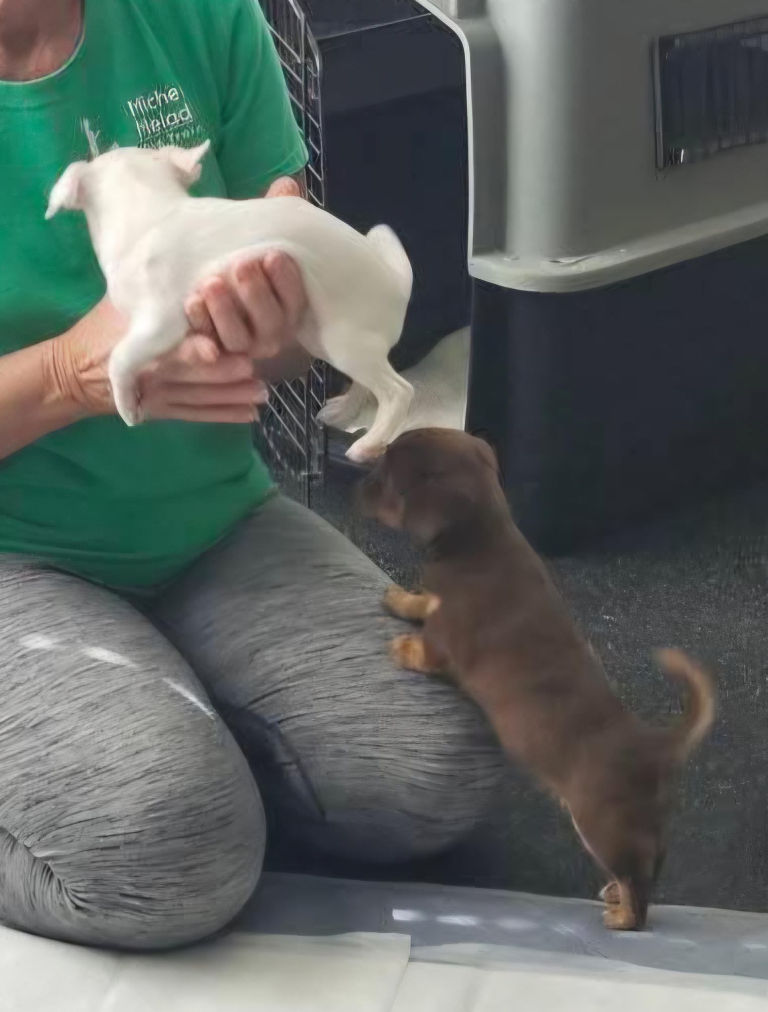 FB_IMG_1761670199601