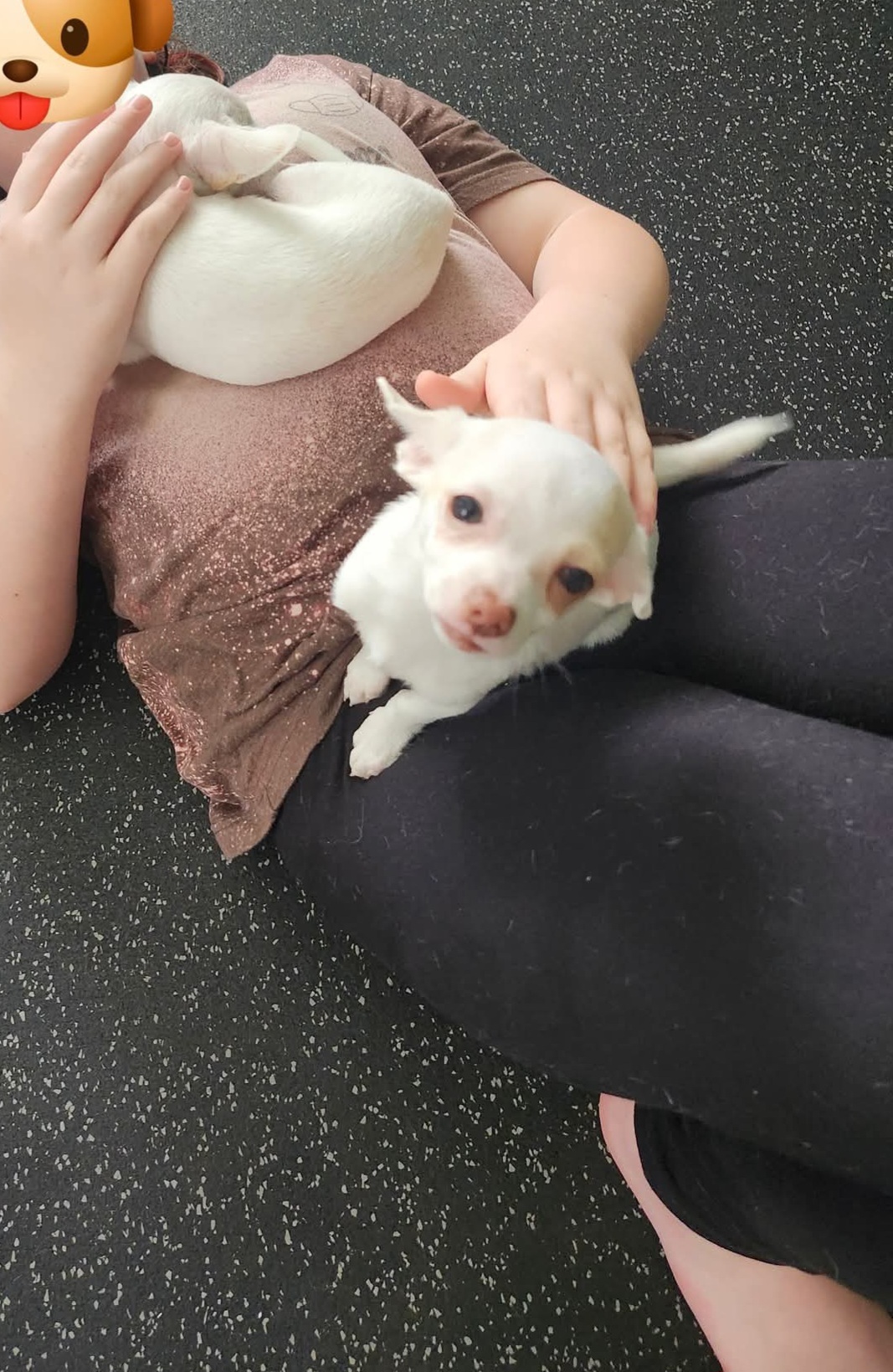 FB_IMG_1761670207433